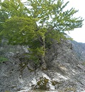 VALBONA, Albania